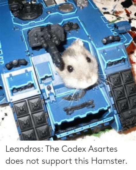 Leandros The Codex Asartes Does Not Support This Hamster Hamster Meme On Meme