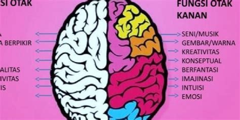Guru Berbagi Cara Kerja Otak Kiri Dan Otak Kanan Riset