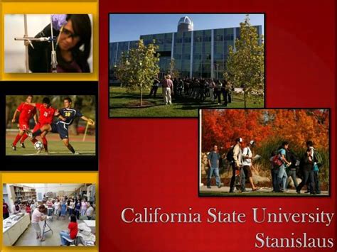 Ppt California State University Stanislaus Powerpoint Presentation