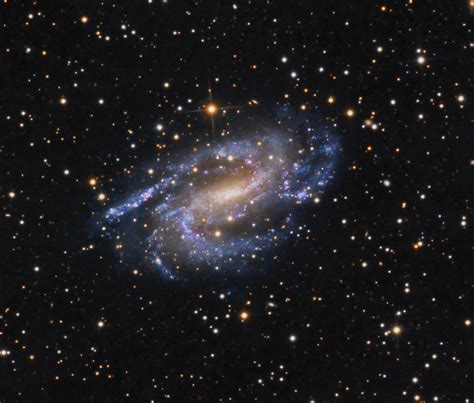 Barred Spiral Galaxy Ngc 925 Astronomy Magazine Interactive Star