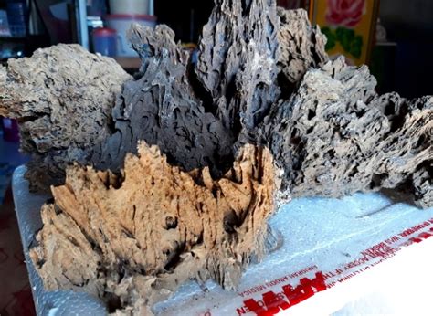 Aquascpe sendiri merupakan akuarium yang telah di hias sedemikian rupa menggunakan bahan batu serta tanaman air. 10 Jenis Batu Aquascape yang Bagus Lengkap Disertai ...