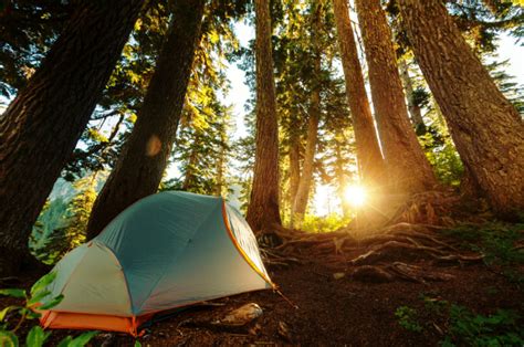 Best National Parks For Camping In The Spring