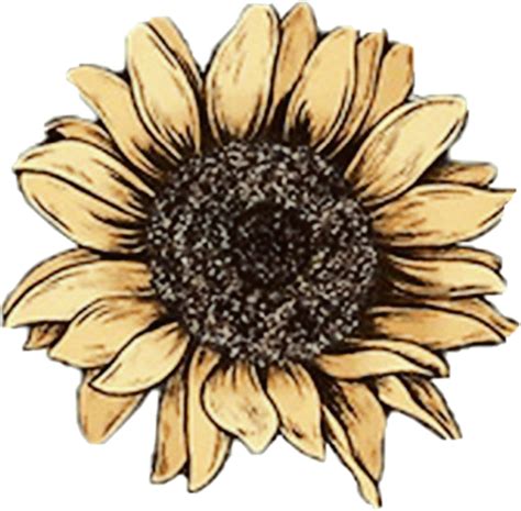 Sunflower Retro Vintage Drawing Yellow Aesthetic Sunflo
