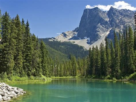 Nature Emerald Lake Yoho National Park British Columbia