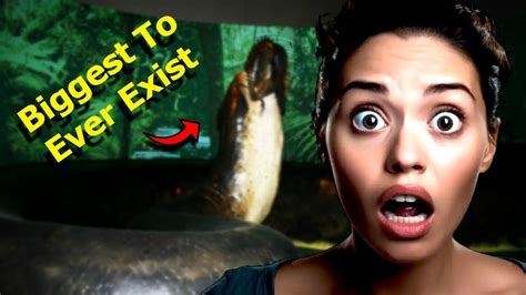 Nightmarish Creatures That You Are Glad Have Gone Extinct Youtube