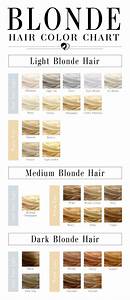 How To Read Hair Color Numbers And Letters 2021 Ultimate Guide Brown