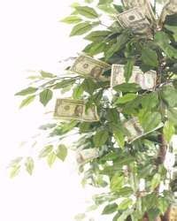 The security strip of the bill, which can be seen when a real $100 bill is held up to a light, is inserted into the fake bill using needles and glued with the use of a medical syringe. You CAN Make a Money Tree in Incredibly Easy Ways. Here's ...