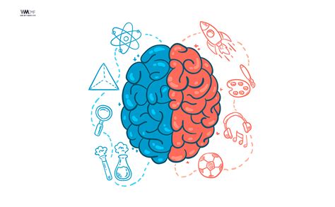 Las Diez Claves De La Neurociencia Para Mejorar El Aprendizaje
