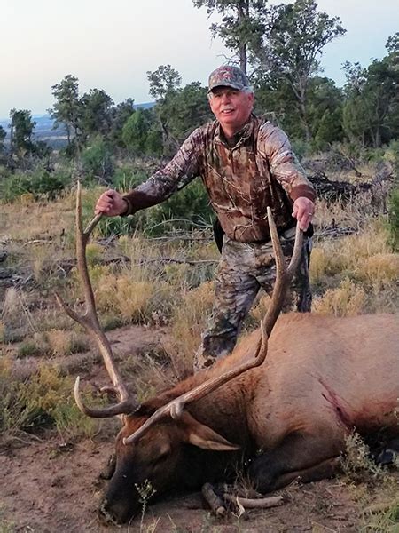 Elk Hunts New Mexico Hunting Bull Elk 513