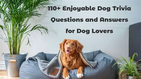 Dog Trivia Questions And Answers