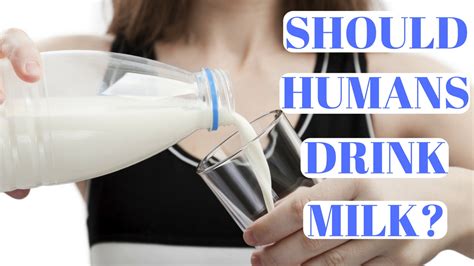 Should Humans Drink Milk Dr Thomas Lodi