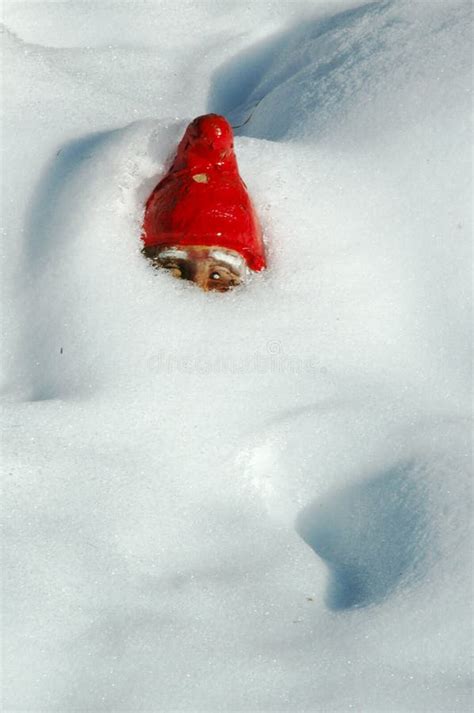Garden Gnome In Snow Stock Image Image Of Buried White 8647275