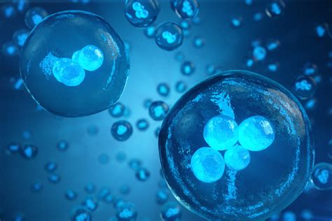 Human Or Animal Cells On Blue Background Concept Early Stage Embryo