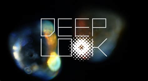Kqeds New Youtube Series Deep Look A Hit Kqed