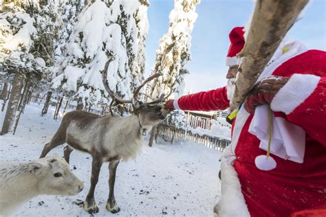 list of santa s reindeer names lovetoknow