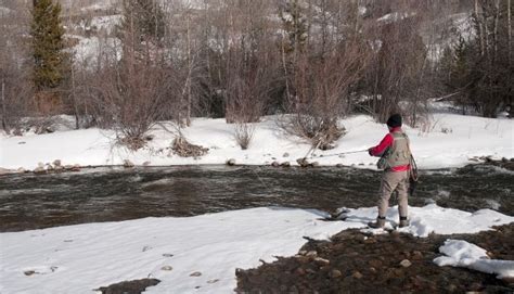 Fly Fishing In Winter 101 Tips Guide Cast And Spear