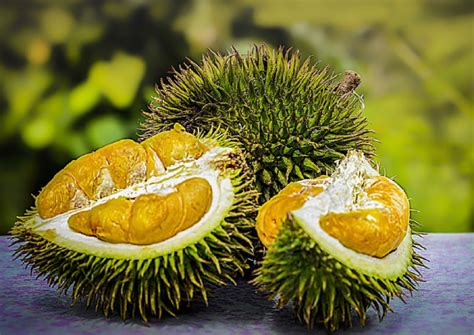 The 2018 malaysia durian season started while you weren't looking. Durian delivery Singapore price guide: Same-day delivery ...