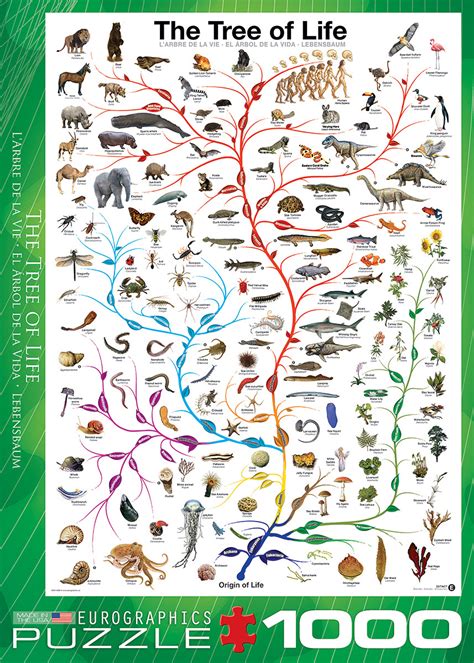 The Evolutionary Tree Of Life 1000 Piece Puzzle Givens Books And