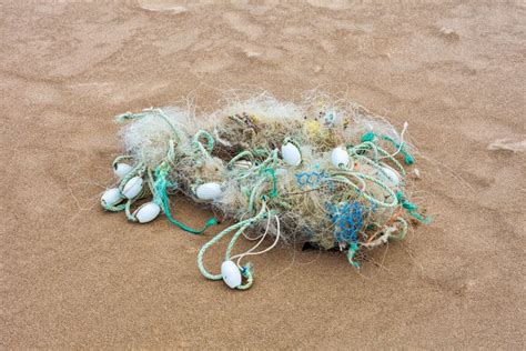 Marine Debris Ocean Pollution Plastic Bags Are Killing The World