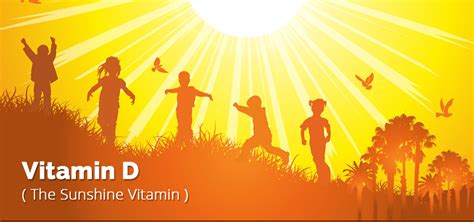 Best Vitamin D Rich Foods Vitamin D Test And Health Tips