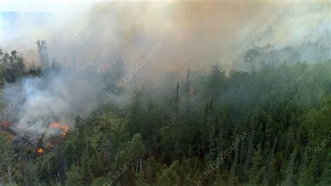 View Of Forest Fire British Columbia Canada Stock Video Clip K008