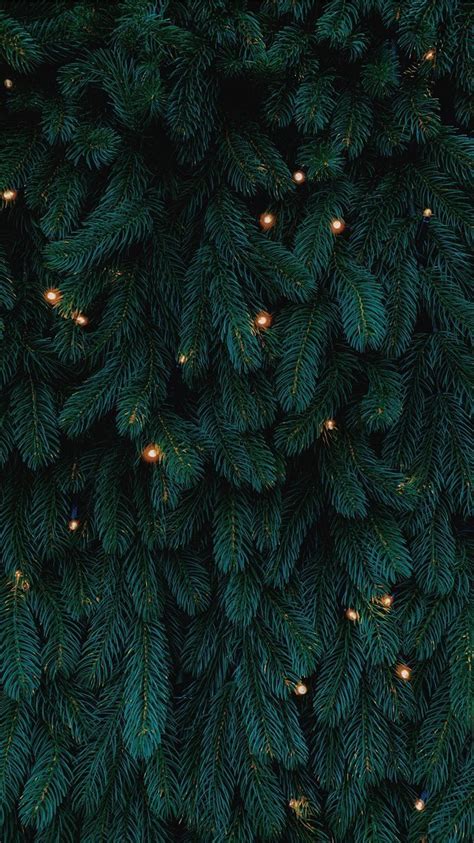 Aesthetic Christmas Tree Wallpapers Wallpaper Cave