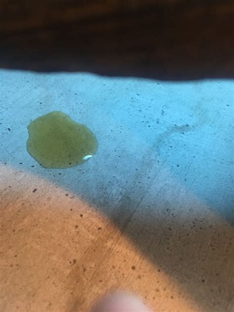 Green Liquid In Poop Health Bearded Dragon Org
