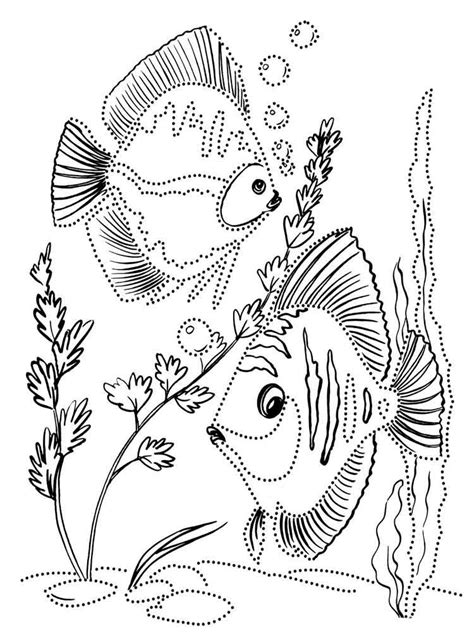 aquarium fish coloring pages   print aquarium fish coloring pages