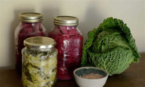how to ferment cabbage for maximum probiotics in 10 easy steps pickle and ferment