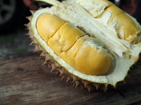 Approximately 200 breeds of durians in malaysia, each breed is brimmed with exquisite flavour and aroma. 2018 Durian Season Guide to Malaysia