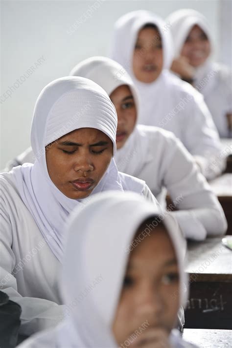 Blind Girl In Mainstream School Stock Image C0268410 Science