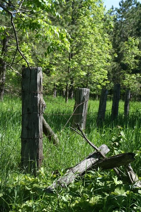 Betafence has been designing wire for more than 135 years, with different quality coatings. Old Barbed-wire Fence Free Stock Photo - Public Domain ...