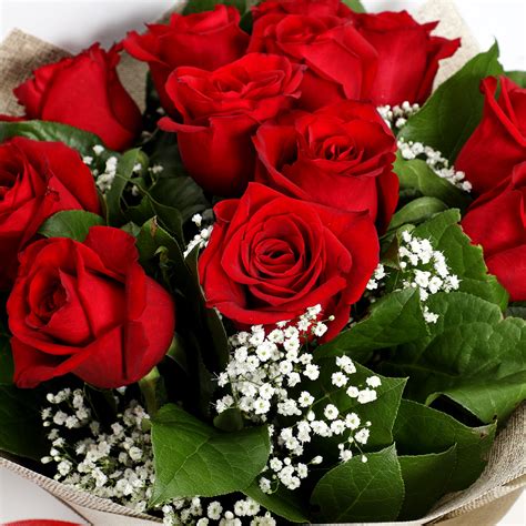 Online Bunch Of Ravishing Red Roses T Delivery In Singapore Fnp
