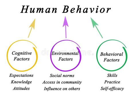 Determinants Of Human Behavior Stock Illustration Illustration Of