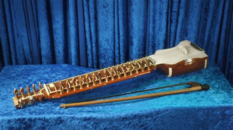 Dilruba - Indian Stringed Instrument