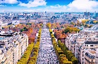 8th Arrondissement of Paris: Where To Eat, Play & Stay beyond the ...
