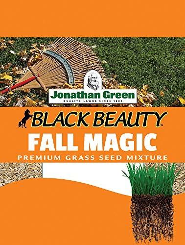 Jonathan Green Black Beauty Original Grass Seed Blend Cool Season Lawn Seed Lb