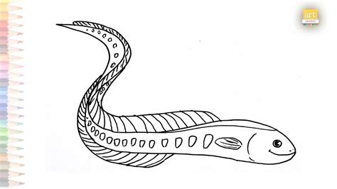 Sea Eel Drawing Easy How To Draw A Sea Eel Very Simply Easy Drawing