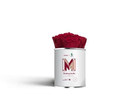 Mademoiselle Roses éternelles And Pots Box Rose éternelle