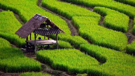 Chiang Mai Wallpapers Wallpaper Cave