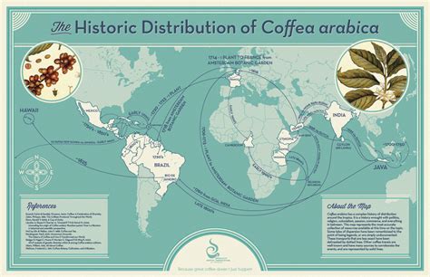 History The Spread Of Coffee In The World Coffee Geek