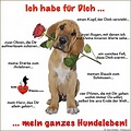Ich habe für Dich mein ganzes Hundeleben! >> http://www.ich-liebe-tiere ...