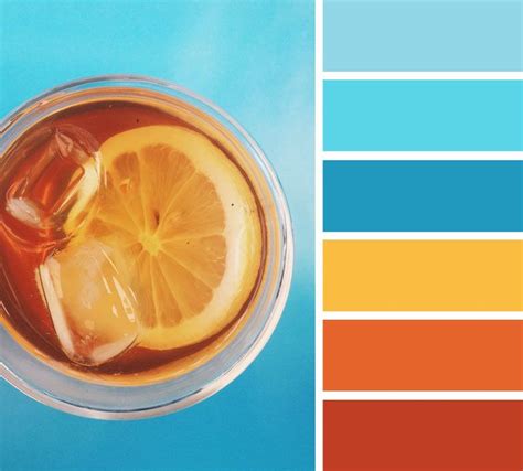 Orange And Teal Color Scheme Summer Color Palette Summer Color