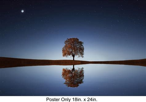 Lone Tree Reflecting In Lake At Night Canvas Print Lake Framed Poster