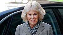 Duchess Camilla bio: Britain's next queen consort helped 'save' the ...