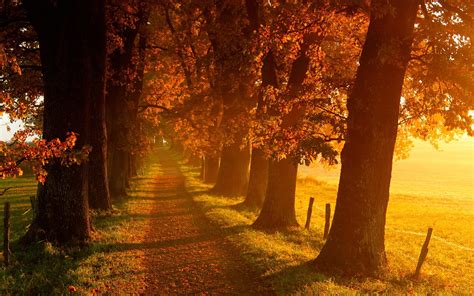 Fall Country Scenes Wallpaper Wallpapersafari