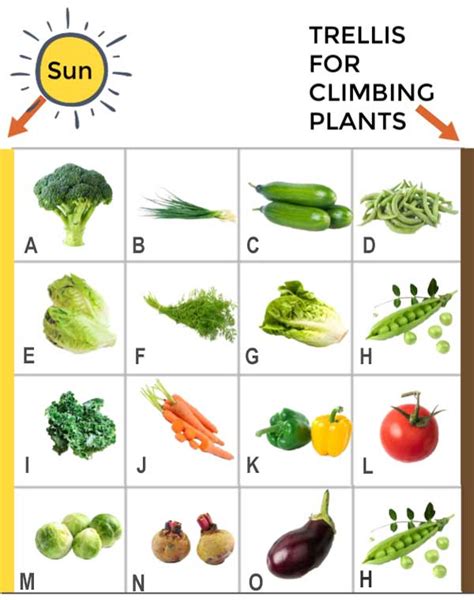 These are not bad things to have in a vegetable garden because they i like to think of the raised garden beds as the canvas. How to Grow Your First Vegetable Garden (Right Now ...