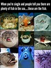 These are the fish.... #funny #ocean #meme #nature #fish 420 Memes ...