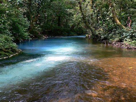 Río Celeste Un Río Azul Turquesa En Costa Rica Destino