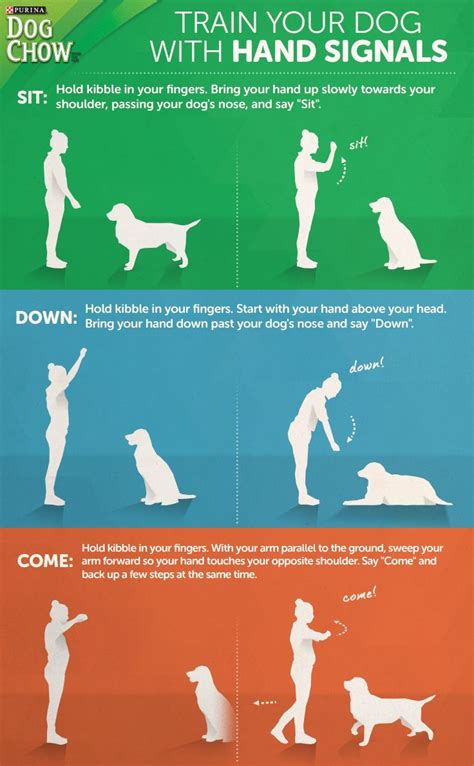 Learn How To Train Your Dog With Hand Signals Hand Signal Training Can